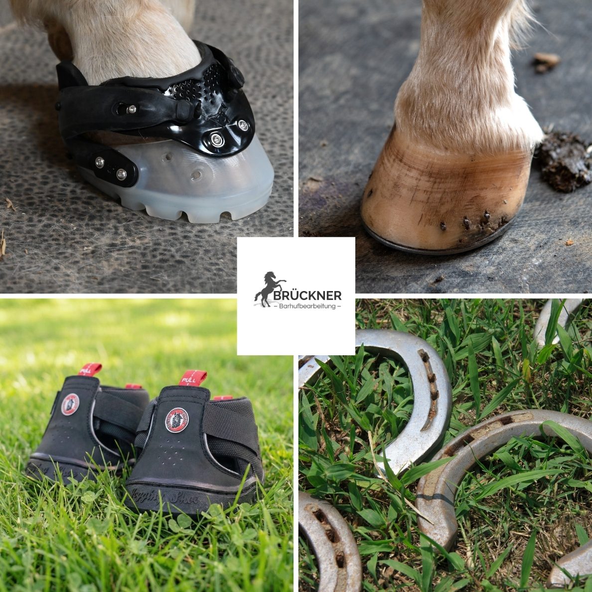 Hufe mit Hufschuhen und Hufeisen