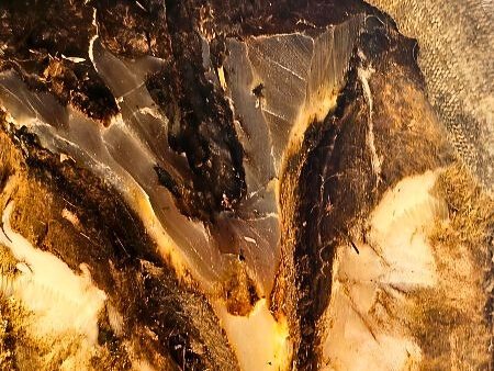 Nahaufnahme eines Hufe mit Strahlfäule