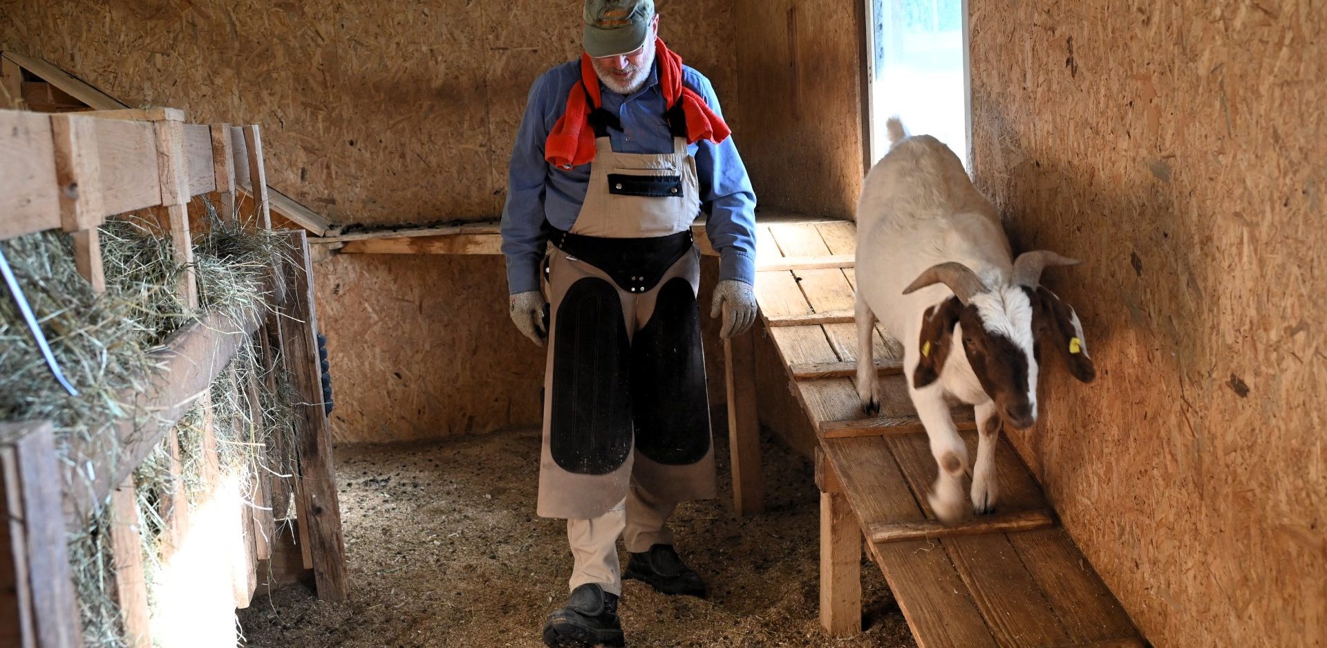 Andreas Brückner kuschelt mit einem Tinker.