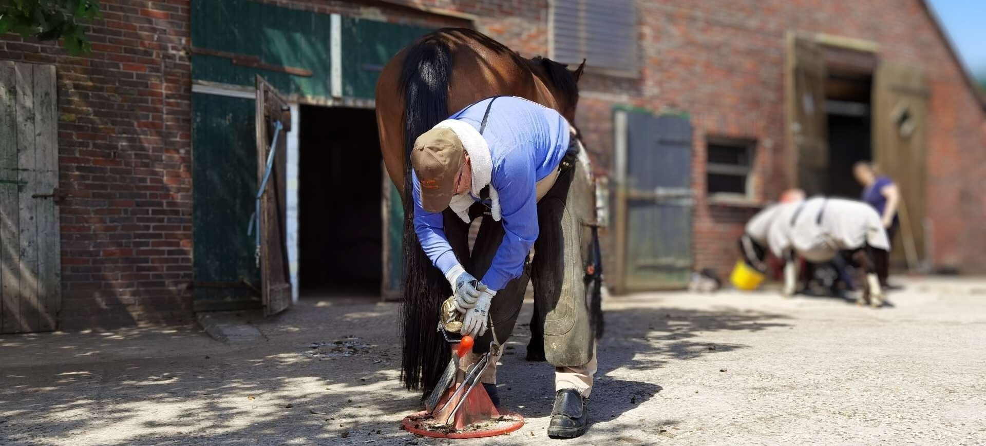 Andreas Brückner, Hufpfleger, bearbeitet ein Pferd mit einem Hufmesser.
