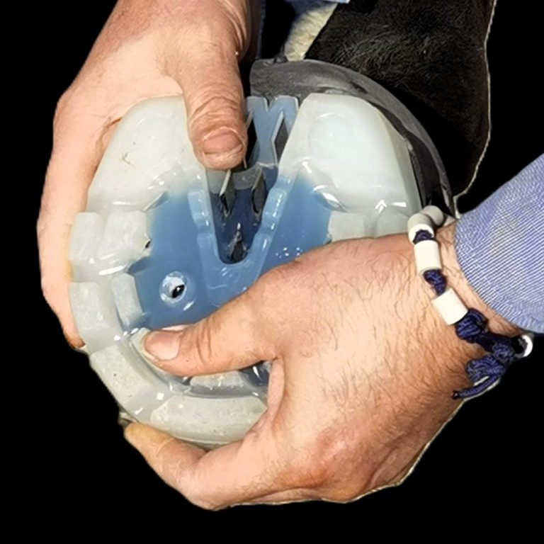 Eine Hand hält einen Hufschuh an einen Pferdehuf.