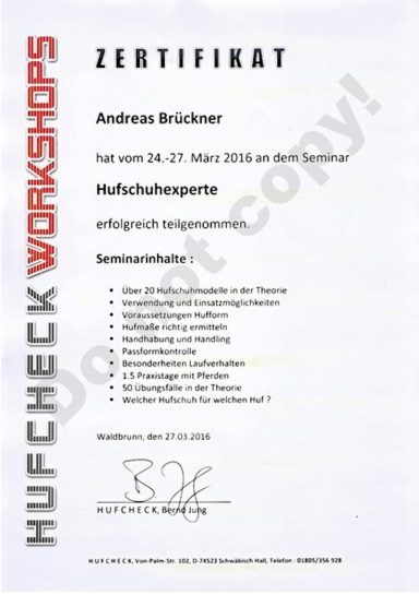 Zertifikat Hufschuhexperte