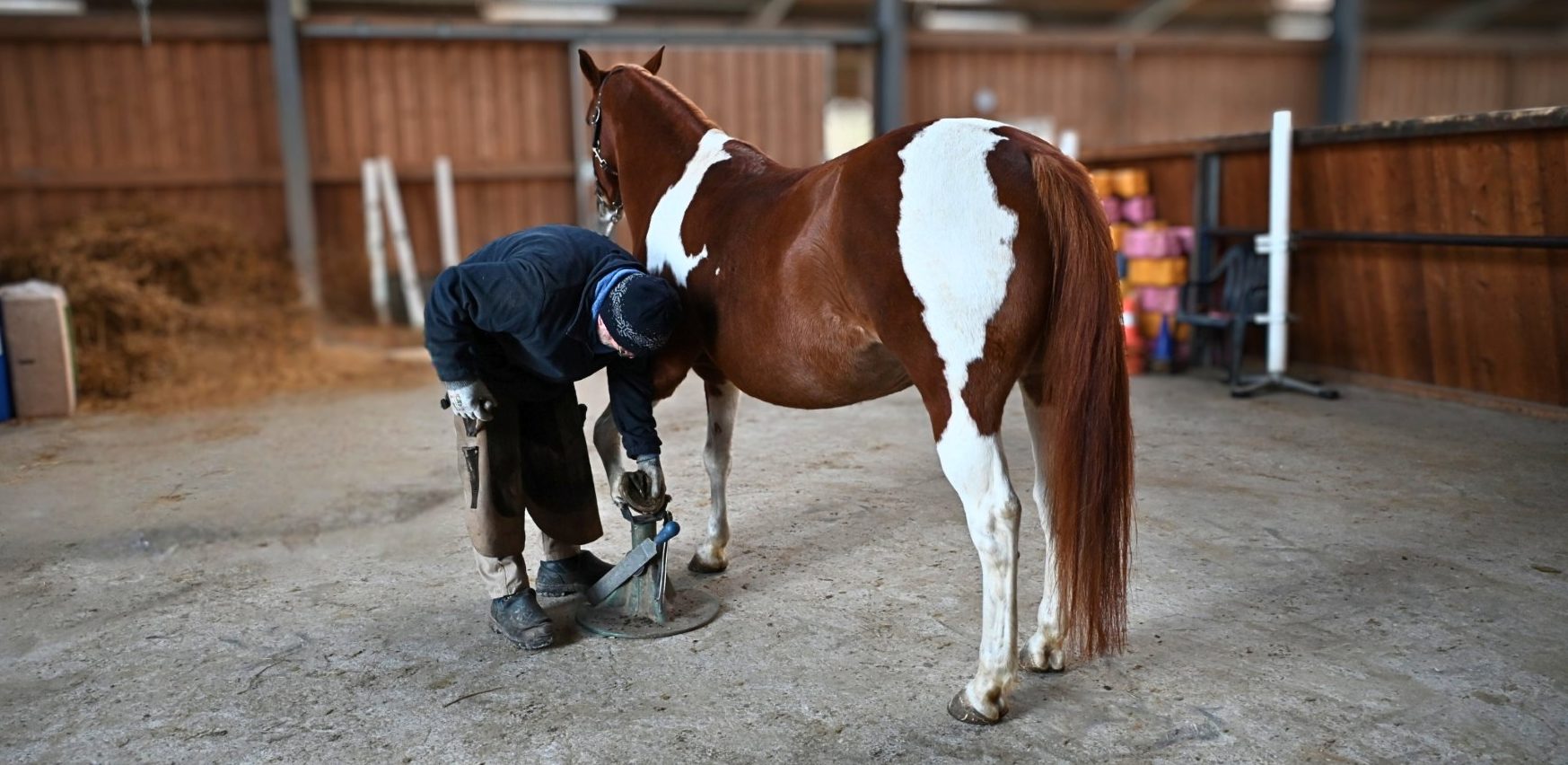 Andreas Brückner, Hufpfleger, schaut sich einen Huf an.