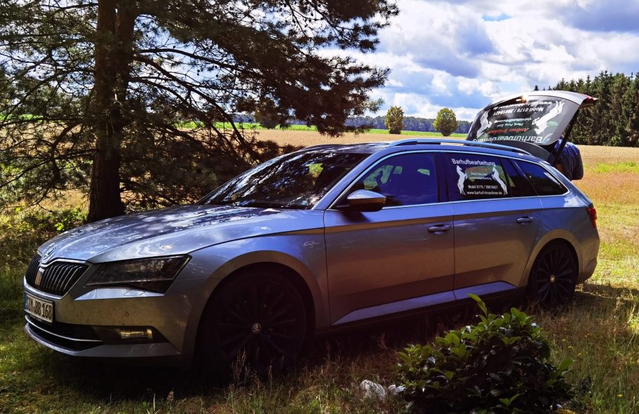 Ein silberfarbener Skoda Superb Kombi steht auf einer Wiese.