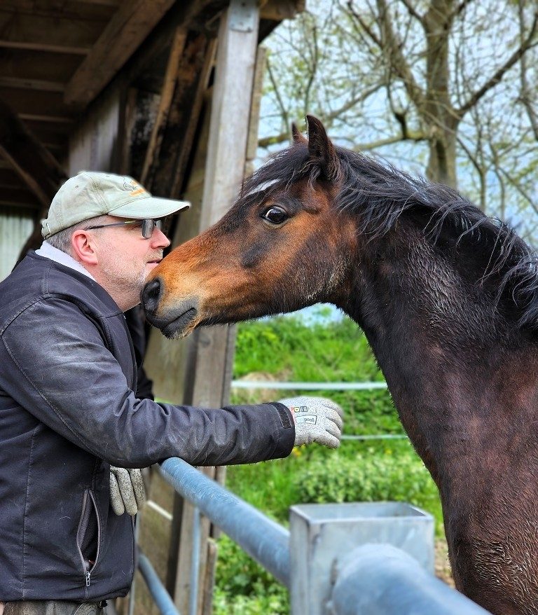 Über mich Nicht nur vielseitig – auch fachliche fundiert Mann kuschelt mit einem dunkelbraunen Pony