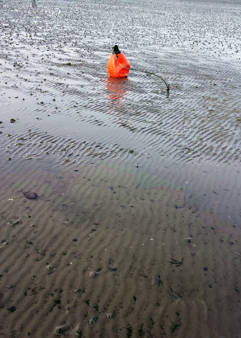 Orange Boje auf flachem, nassem Sand mit ausgeprägter Rillenstruktur.
