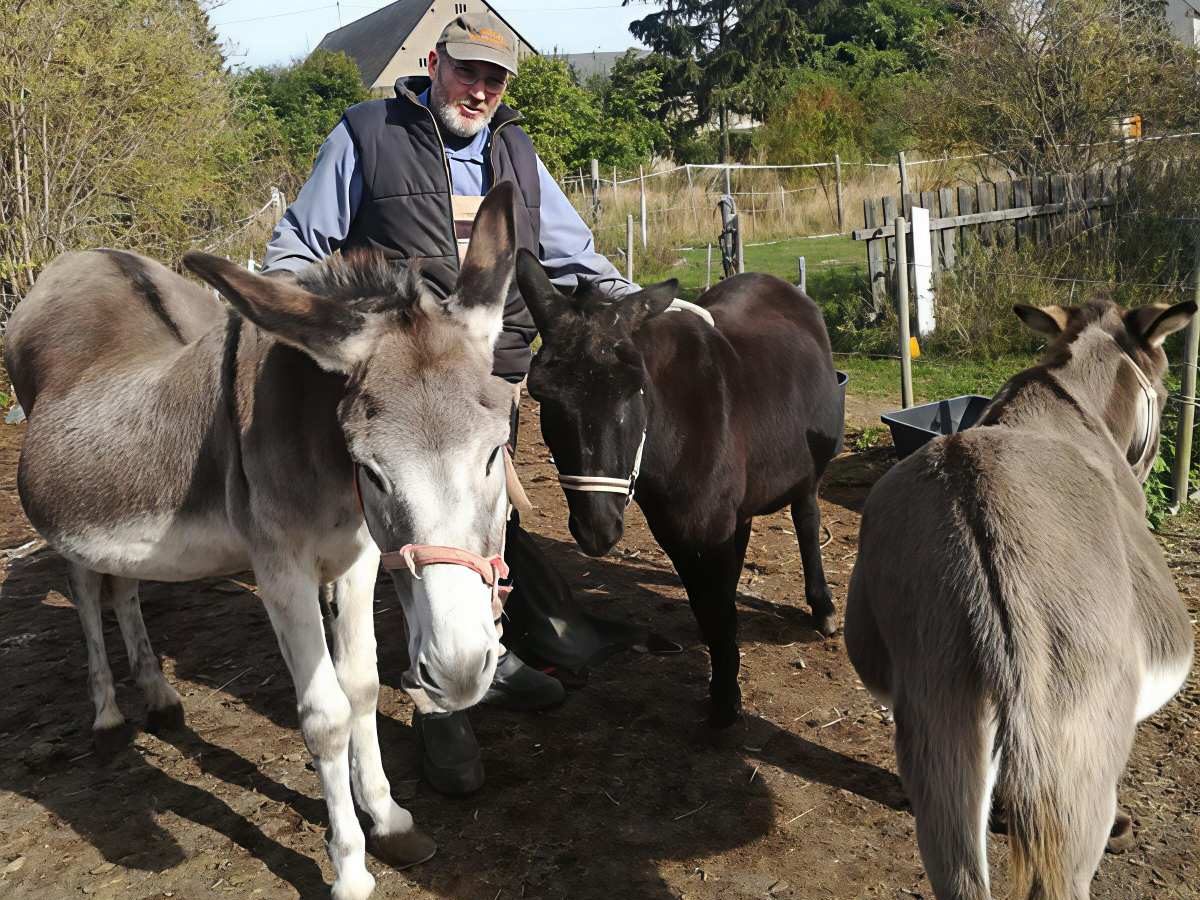 Ein Hufpfleger steht zwischen Eseln auf einem Hof. Grüne Umgebung im Hintergrund.