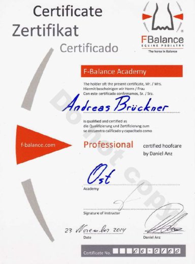 Zertifikat F-Balance Professional