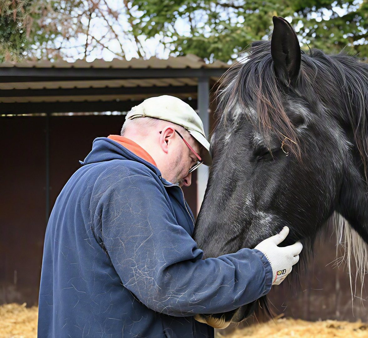 Mann schmust mit Pferd