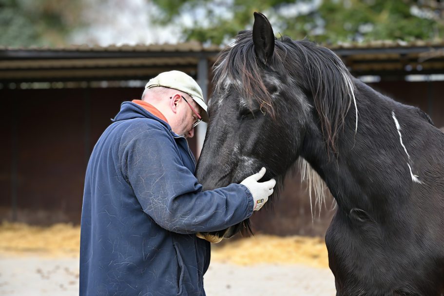 Andreas Brückner (Hufpfleger, Hufschuhexperte, F-Balance-Podologe)