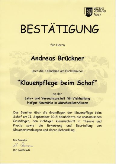 Bestätigung Klauenpflege beim Schaf