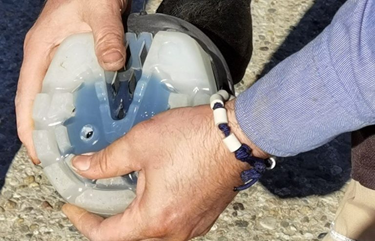 Eine Hand hält einen Hufschuh an einen Huf.