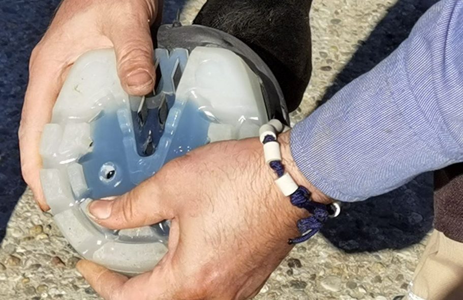 Ein Hufschuh wird gerade an einem Huf anprobiert.